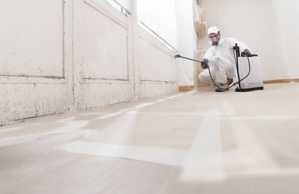 24/7 Emergency Basement Mold Remediation experts in Clearfield, PA